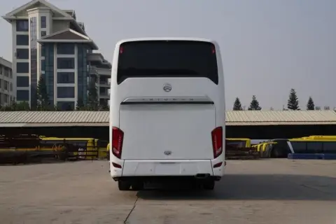 Golden Dragon TRİUMPH 2026 — миниатюра 2