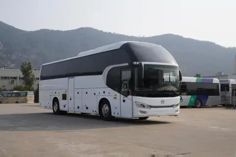 Golden Dragon TRİUMPH 2026 — миниатюра 3