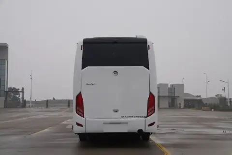 Golden Dragon Splendor 2026 — миниатюра 2
