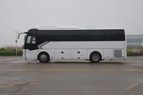 Golden Dragon Splendor 2026 — миниатюра 4