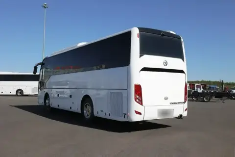 Golden Dragon Splendor 2026 — миниатюра 6