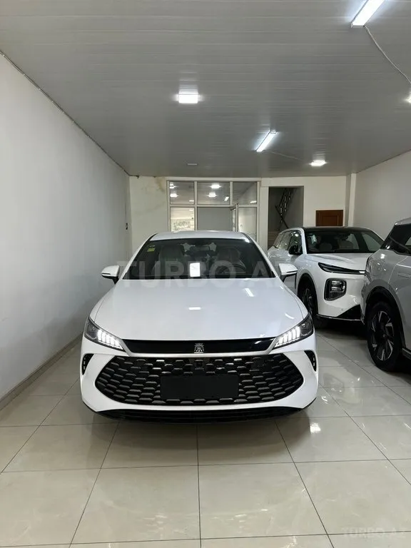 BYD Qin Plus 2025 — фото 1 из 10
