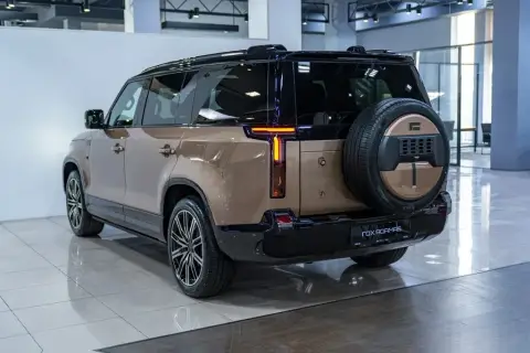 ROX (Polar Stone) Adamas 2026 — миниатюра 8
