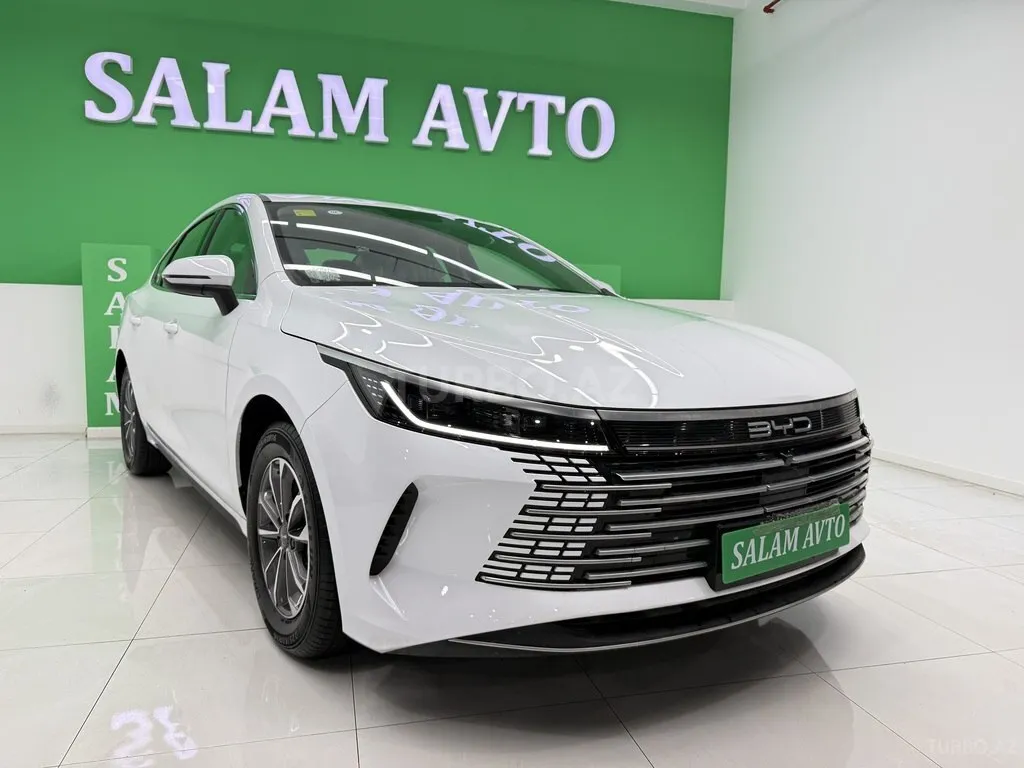 BYD Destroyer 05 2025 — фото 1 из 10