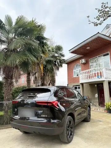 Haval H6 2025 — миниатюра 8