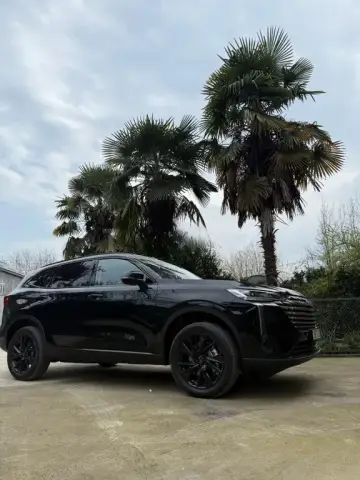 Haval H6 2025 — миниатюра 10