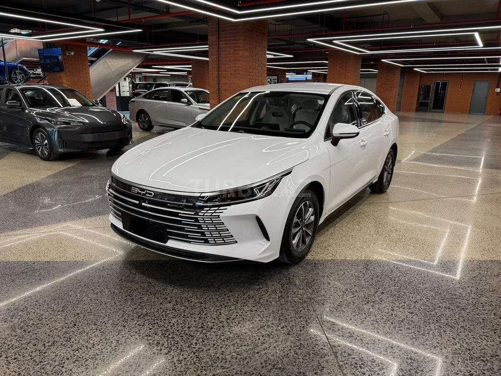 BYD Destroyer 05 2025 — фото 1 из 10