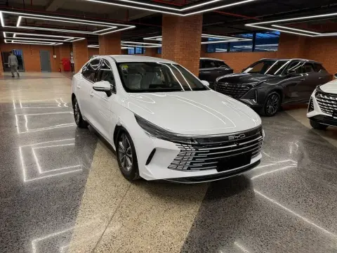 BYD Destroyer 05 2025 — миниатюра 3