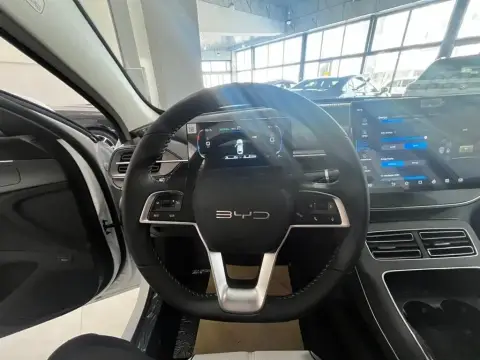 BYD Destroyer 05 2025 — миниатюра 10
