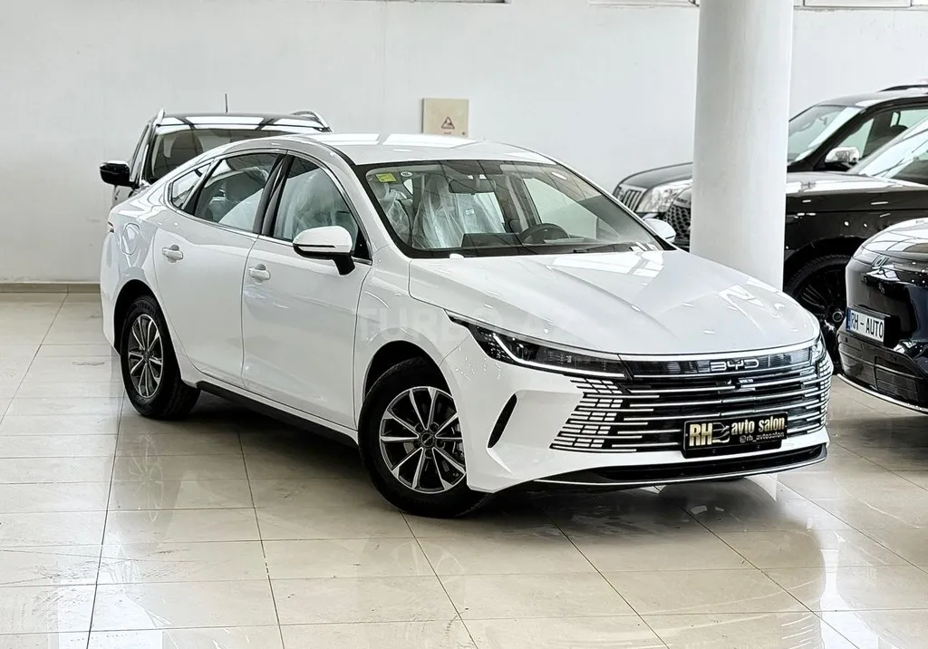 BYD Destroyer 05 2025 — фото 1 из 10