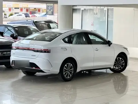 BYD Destroyer 05 2025 — миниатюра 6