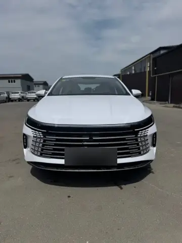BYD Destroyer 05 2025 — миниатюра 1