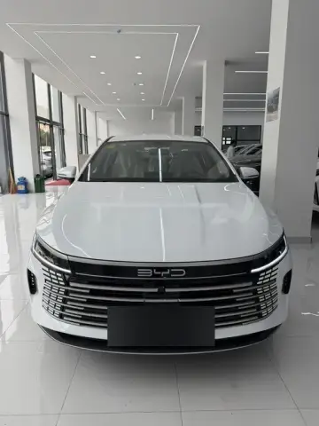 BYD Destroyer 05 2025 — миниатюра 1