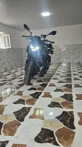 Kawasaki Z500 2025