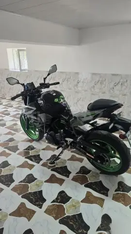 Kawasaki Z500 2025 — миниатюра 9