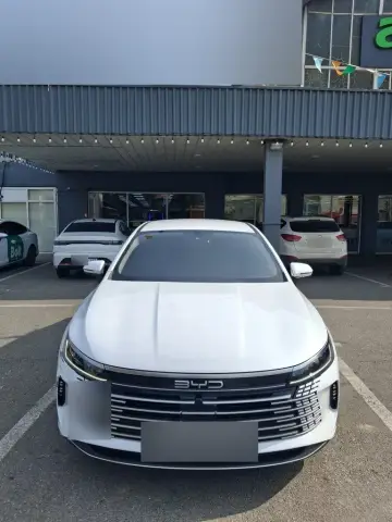 BYD Destroyer 05 2025 — миниатюра 1