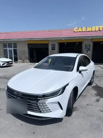 BYD Destroyer 05 2025 — миниатюра 4