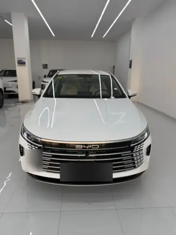 BYD Destroyer 05 2025 — миниатюра 1