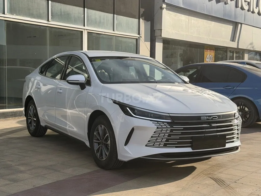 BYD Destroyer 05 2025 — фото 1 из 10