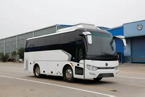 Golden Dragon Splendor 2026 — миниатюра 2