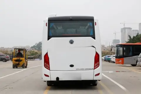 Golden Dragon Splendor 2026 — миниатюра 5