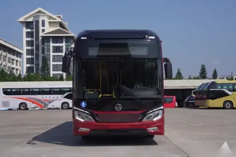 Golden Dragon City Bus 2026