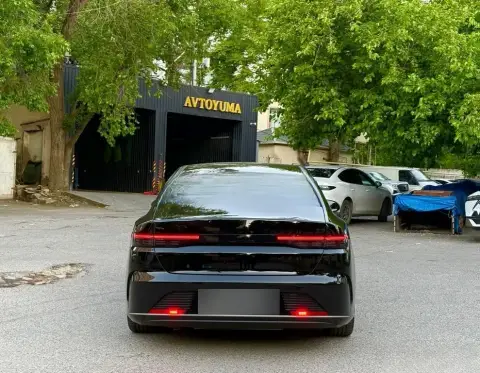 BYD Destroyer 05 2025 — миниатюра 6