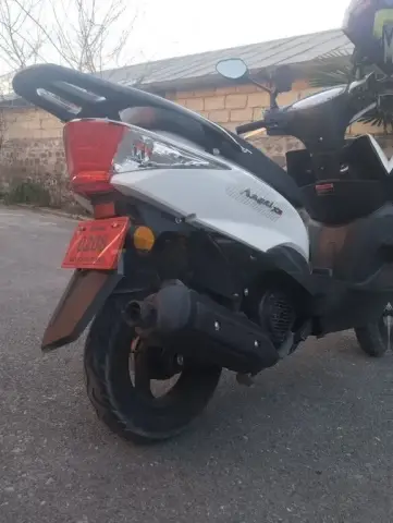 GST Angel x3 2025 — миниатюра 2