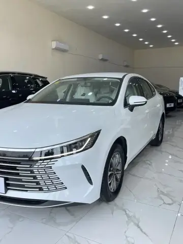 BYD Destroyer 05 2025 — миниатюра 3
