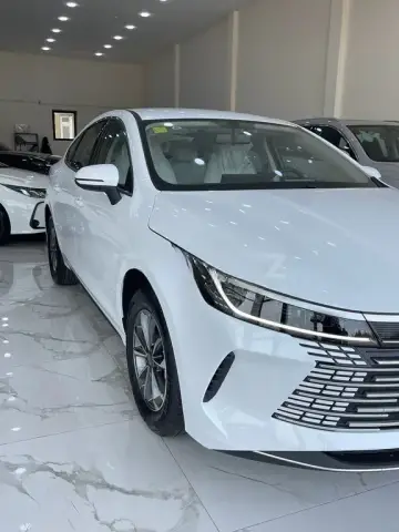 BYD Destroyer 05 2025 — миниатюра 4