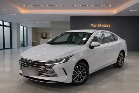 BYD Destroyer 05 2025 — миниатюра 1