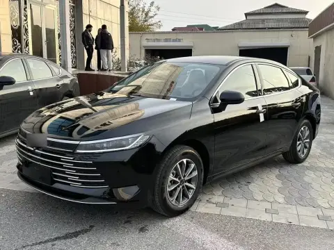 BYD Destroyer 05 2025 — миниатюра 3