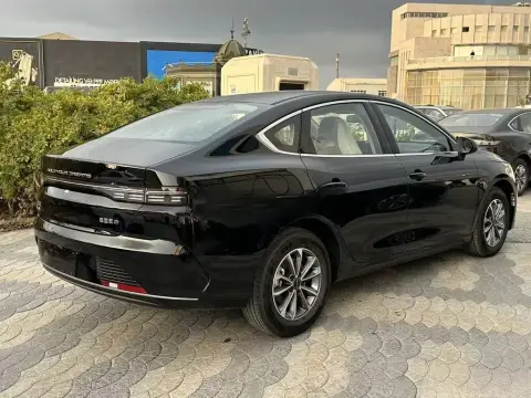 BYD Destroyer 05 2025 — миниатюра 4
