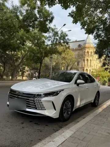 BYD Destroyer 05 2025 — миниатюра 5