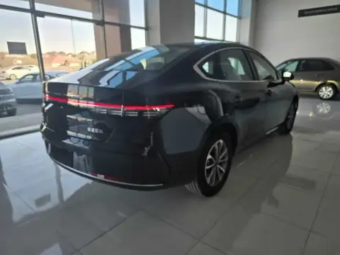 BYD Destroyer 05 2025 — миниатюра 4