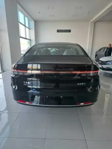 BYD Destroyer 05 2025 — миниатюра 6