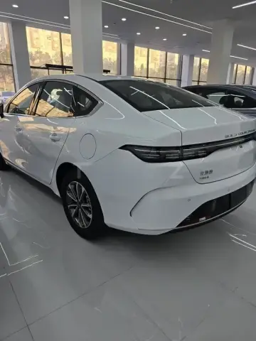 BYD Destroyer 05 2025 — миниатюра 6