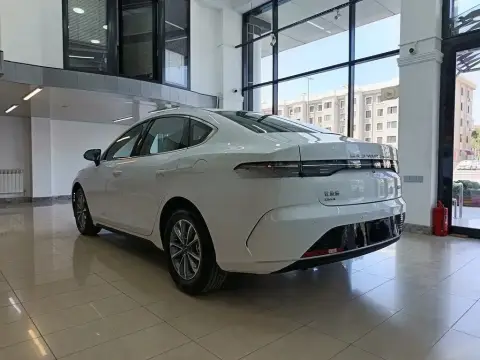 BYD Destroyer 05 2025 — миниатюра 7