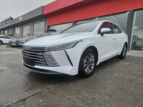 BYD Destroyer 05 2025 — миниатюра 4