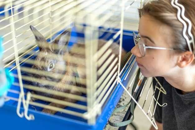 Дезинфекция кондиционера - как сделать правильно для здоровья и чистоты Дезинфекция кондиционера: как сделать правильно для здоровья и чистоты