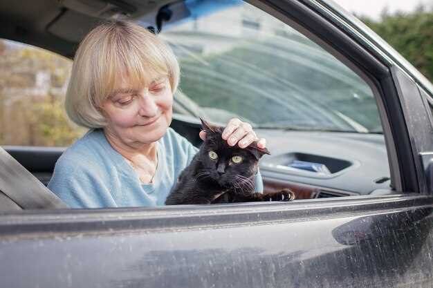 Юридические аспекты ДТП с участием домашних животных