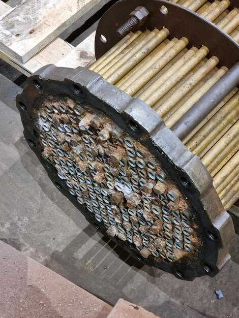 Подготовка шин и резины к морозу: давление, хранение и монтаж