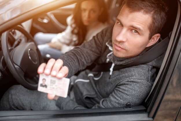 Способы проверки штрафов ГИБДД по госномеру