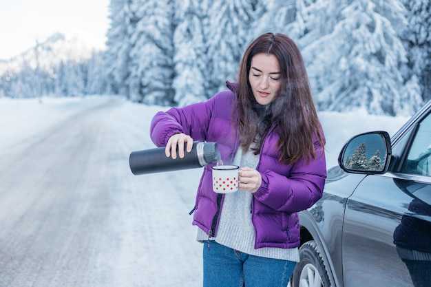 Зимняя езда без заноса: советы опытного гонщика и практические лайфхаки по снегу