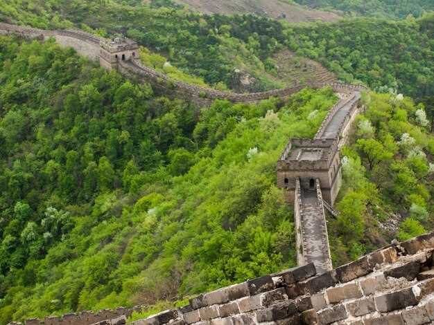 Китайские пикапы Great Wall вернулись на рынок РФ: как долго они продержатся?