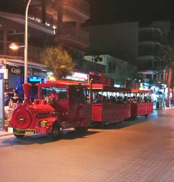 Расписание и главные шоу