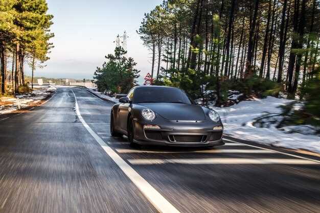 Общие характеристики Porsche Macan Diesel S