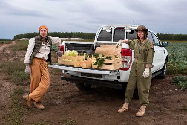 Безопасность и ассистенты: что доступно на рынке и как они работают в реальных условиях