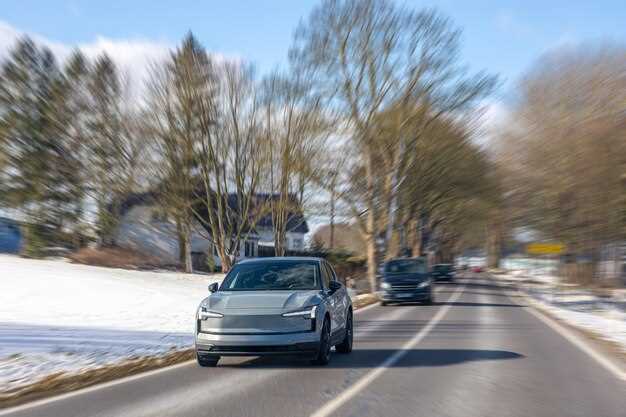 Какие бренды представлены на российском рынке?