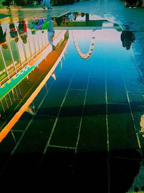 SOLARIS HC: Инновационные Решения для Эффективного Энергетического Управления